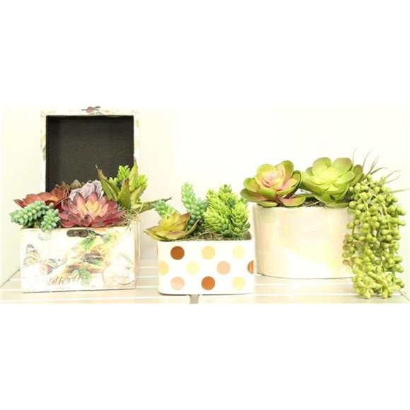 Succulents Plants Artificial 14Pcs Premium Artificial Succulents Unpotted Fake - Picture 4 of 6